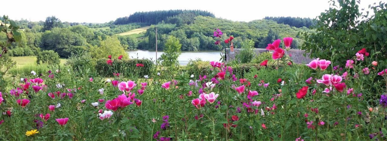 Вілла Gite De Rangere, Rangere Rural Villapourcon Екстер'єр фото